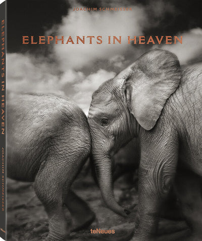 ELEPHANTS IN HEAVEN