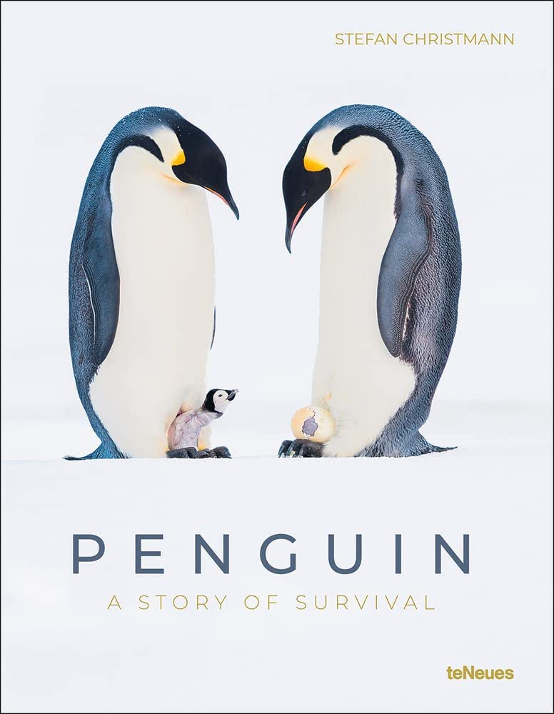 PENGUIN A STORY OF SURVIVAL